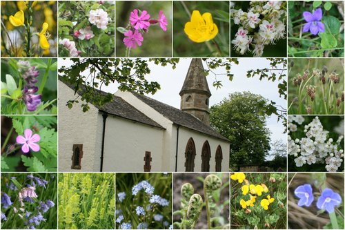 St Peter's Posie Rolags - 100g