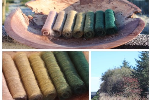 Year's End Gradient Batt Set - 100g