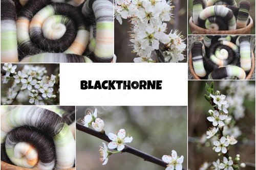 Blackthorne Rolags - 100g