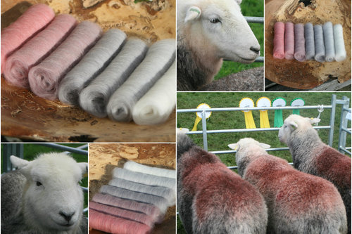 Fellside Matriarch Gradient Batt Set - 100g