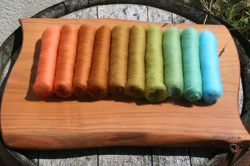 Pretty Penny XL Gradient Batt Set - 150g