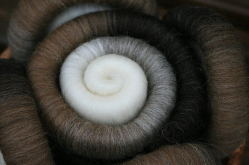 4 Shades of Shetland Rolags / Punis - 100g