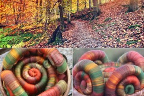 Ballaglass Beauty rolags - 100g