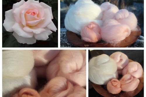 Bloom of Ruth - 130g Fibonacci Gradient Batt set.
