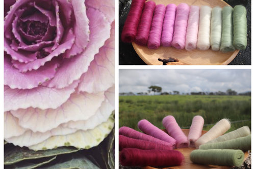 Bonny Brassica's Gradient Batt Set - 150g