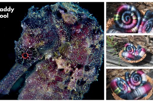 Daddy Cool Rolags - 100g