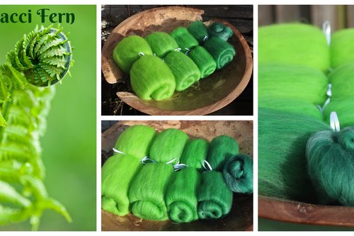 Fibonacci Fern - 130g