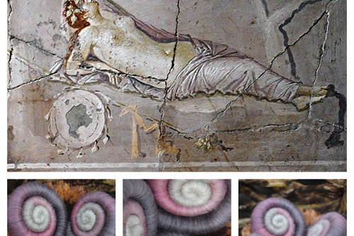 Fresco Gradient / rolags - 100g