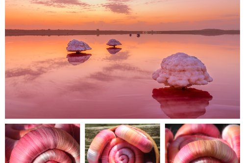 Salt Lake Sunset rolags - 100g