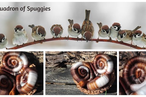 Squadron of Spuggies rolags - 100g