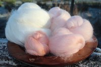 Bloom of Ruth - 130g Fibonacci Gradient Batt set.