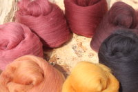 In the Beginning - Gradient Batt Set - 100g