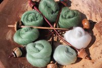 Bamboo Forest Gradient Batt Set - 100g