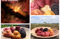 In the Beginning - Gradient Batt Set - 100g