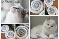 Limited Edition - Kitten Soft Rolags - 50g
