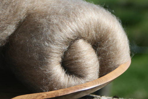 Manx Loaghton / Honey Tussah Silk smooth blended batts - 100g