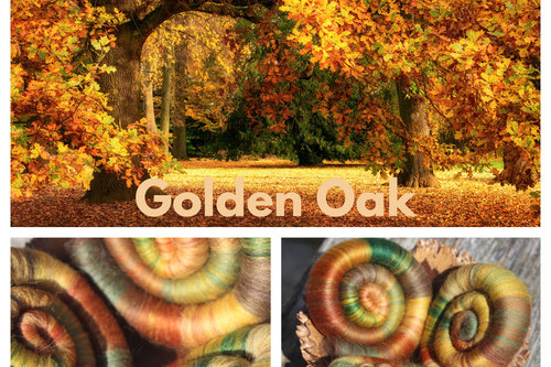 Golden Oak Rolags - 100g