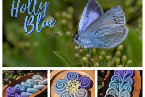 Holly Blue Butterfly