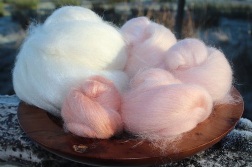 Bloom of Ruth - 130g Fibonacci Gradient Batt set.