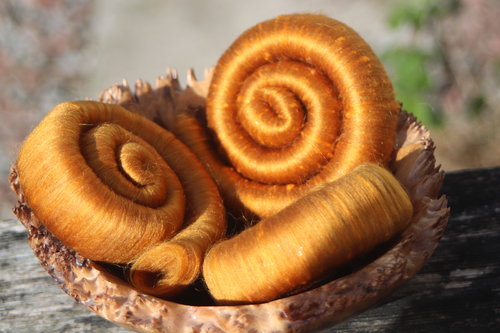 Golden Highlights Rolags