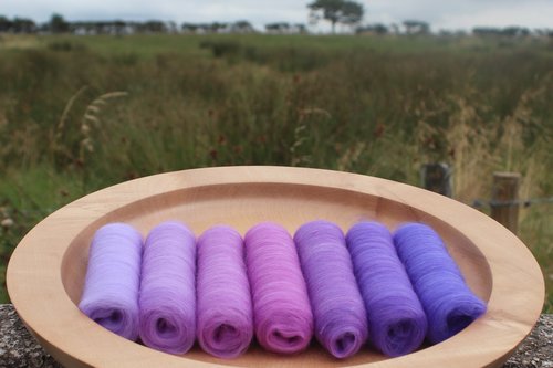 Deep Sea Wonder Gradient Batt Set -100g