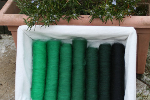 Into the Deep Dark Wood Gradient Batt Set - 100g