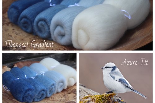 Azure Tit - Fibonacci Gradient set 130g