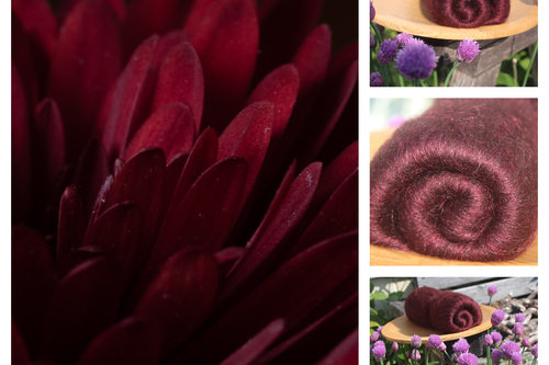 Dark Dahlia batts