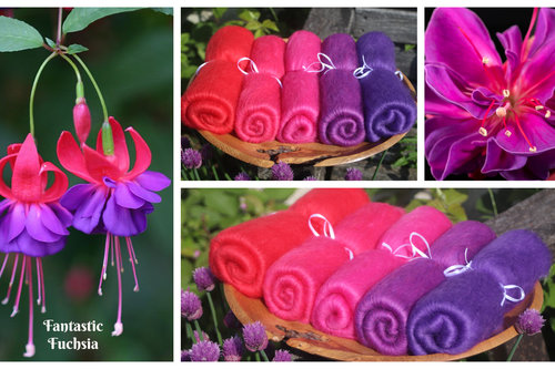 Fantastic Fuchsia gradient batt set