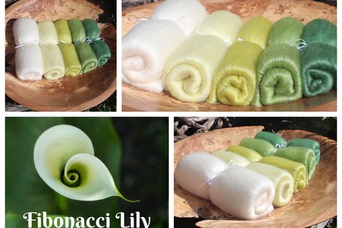 Fibonacci Lily - 130g