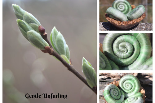 Gentle Unfurling Rolags - 100g