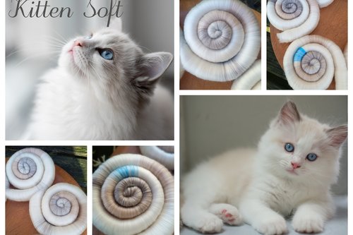 Limited Edition - Kitten Soft Rolags - 50g