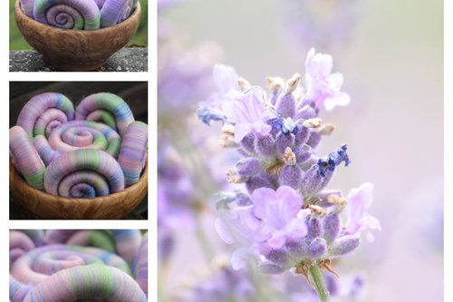 Midsummer Lavender