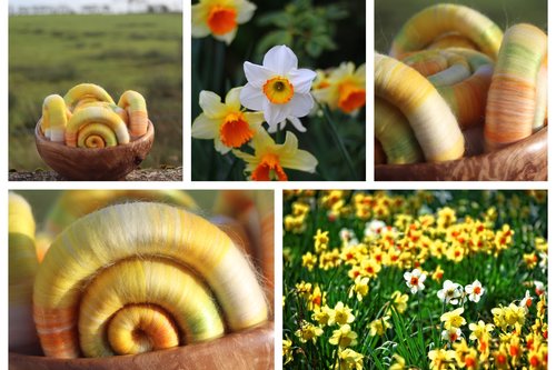 Narcissus Rolags - 100g