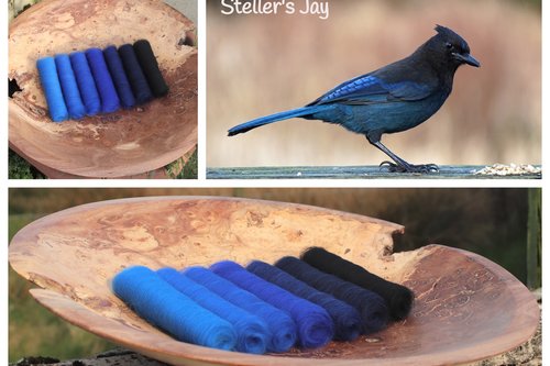 Steller's Jay Gradient Batt Set