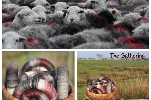 The Gathering Rolags - 100g